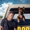 Dog [2022] / H264 / MKV / Blu-ray / SD / AC3 / Subs / RiCO thumb