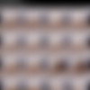 TMWVRNET.com (4of4) thumb