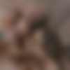 [ReidMyLips.com] Riley Reid, Aurora Belle, Izzy Lush (Roller Girls) [08.05.2019, Blowjob, Brunette, Cowgirl, Cumshot, Doogy Style, Hardcore, Missionary, Oral, Reverse Cowgirl, Rimming, Squirt, Teen, 1080p] thumb