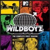 Wildboyz.2003.S02.370p.DVD.AAC.H264.PiTBULL thumb