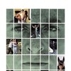 The Magus [1968] / H264 / MKV / Blu-ray / 1080p / FLAC / Subs / Scene / BiPOLAR thumb