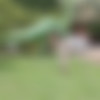 [Tiny4K] Coco Lovelock is a Playful Tease - Jul 25 2024 - 1080p thumb