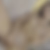 [MetArtX.com] Foxy Alissa (My Favourite Place 2) [2022-01-01, Nude, Posing, Solo, 2160p] thumb