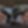 [UpCloseVR.com / AdultTime.com] Queenie Sateen - UP Close VR with Queenie Sateen [12.09.2024, Blonde, Blow Job, Close Ups, Cowgirl, Creampie, Doggy Style, Hardcore, Interview, Long Hair, Missionary, Pov, Reverse Cowgirl, Shaved Pussy, Stepfamily Role Play, Stepsister, Tanlines, Tattoo, Virtual Reality, SideBySide, 8K, 3840p] [Oculus Rift / Quest 2 / Vive] thumbnail