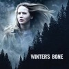 Winter's Bone [2010] / H264 / MKV / Blu-ray / 720p / AC3 / Subs thumb