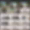 [Hunt4k.com] Hunt4k Siterip as of 03.09.2020 (24 clips) 540p thumb