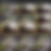 [Loan4k.com] Loan4k Siterip as of 26.08.2020 (13 clips) 540p thumb