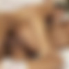 [HandsOnHardcore.com / DDFprod.com] Nataly (7550) [2007 ., Anal, Hardcore, Teen] thumb