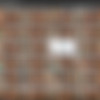 Onlyfans - Ains @ainsleyace [768 pics + 96 vids] thumb