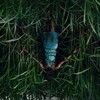 In the Tall Grass 2019 2160p NF WEB-DL DD+ 5.1 Atmos DoVi HDR HEVC-SiC thumb