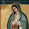 Guadalupe The Miracle and the Message 2015 1080p WEBRip x265-RARBG thumb