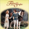 The Singing Ringing Tree 1957 1080p BluRay x264-OFT thumb
