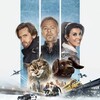 Cat and Dog [2024] / H264 / MKV / Blu-ray / 1080p / AC3 / French / Subs / PTer thumb