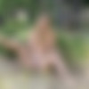 [EroticBeauty.com] 2016-11-20 Vibeke - Naked In Nature 1 [Erotic Photos] [2840x4256, 59 Photos] thumb
