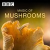 The Magic of Mushrooms [2014] / H264 / MKV / WEB / 1080p / AAC / Subs / Scene / CBFM thumb