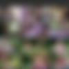 Naughty girls and old pervs (2018) x265 thumb