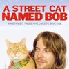 A Street Cat Named Bob [2016] / MPEG2 / VOB IFO / DVD / SD / AC3 / NOGROUP thumb