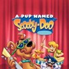 A Pup Named Scooby-Doo (1988) S03 (1080p Dvdrip Upscale x265 10bit AC3 2 0 - Frys) [TAoE] thumb