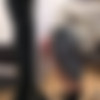 [Loan4K.com / Vip4K.com]Vixi Rafi (Office Gloryhole)[2025 ., Gonzo, Hardcore, All Sex, POV,Straight 1080p] thumb