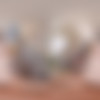 [BaDoinkVR.com] Stacy Cruz - Stacial Awareness [26.11.2024, Babe, Blowjob, Brunette, Cowgirl, Cum On Tits, Doggy Style, Hairy, Missionary, Reverse Cowgirl, Virtual Reality, SideBySide, 8K, 4096p, SiteRip] [Oculus Rift / Quest 2 / Vive] thumb