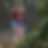 Digital Playground / Flixxx - Giselle Palmer & Sarah Vandella - Lumberjack Off (May 2, 2018) [1080p] thumb