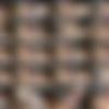 [ManyVids] DeniseFoxxx - Megapack I thumb
