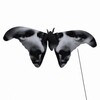 The Atlas Moth [2001] / H264 / MKV / DVD / SD / AC3 / NOGRP thumb