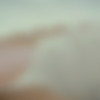[Vixen.com] Kendra Sunderland, Riley Reid (Unexpected Feelings / 04.05.17.) [2017 ., Gonzo, All Girl, Lesbian, 1080p] thumb