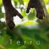 Terra [2015] / H265 / MKV / WEB / 2160p / AC3 / French / Subs / TrollUHD thumb