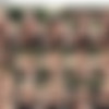 facefucking.com/facialabuse.com SD scenes 381-449 thumbnail