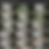 [Hunt4k.com] Hunt4k Siterip as of 03.09.2020 (24 clips) 1080p thumb