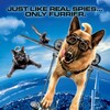 Cats and Dogs The Revenge of Kitty Galore 2010 1080p BluRay x264-OFT thumb