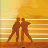 Thiruda Thiruda [1993] / MPEG2 / MKV / DVD / SD / AC3 / Tamil / Subs thumb
