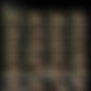 Tara Tainton Megapack thumb