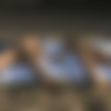 [Hegre-Art.com] 2012-08-20 - Konata & Lulu - A Day On The Beach [Erotic, Posing, 720p] thumb