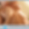 [Playboy.com / Playboy.Plus.com] Elena Romanova - Scrumptious Curves Preview [2012. Erotic, Big Tits] 1080p thumb