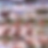 Bustydustystash.com Site-Rip thumb