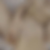 [MetArtX.com] Foxy Alissa (My Favourite Place 2) [2022-01-01, Nude, Posing, Solo, 2160p] thumb