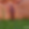 [Abbywinters.com] Lupe (Peeing outdoors) [22.11.2020, solo, shaved, peeing, masturbation, small breast, glasses, 1080p] thumb