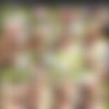 Keira Croft - PART 2 (57 ) Pack [2018-2024, Anal, Creampie, DP, Facial, Gangbang, Swallow, Squirt, Rough] thumb