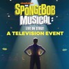 The SpongeBob Musical: Live on Stage! [2019] / H264 / MKV / WEB / 1080p / AC3 / Subs / QOQ thumb