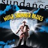 Mule Skinner Blues 2001 480i NTSC DVD5 MPEG-2 DD 2.0-edwood thumb